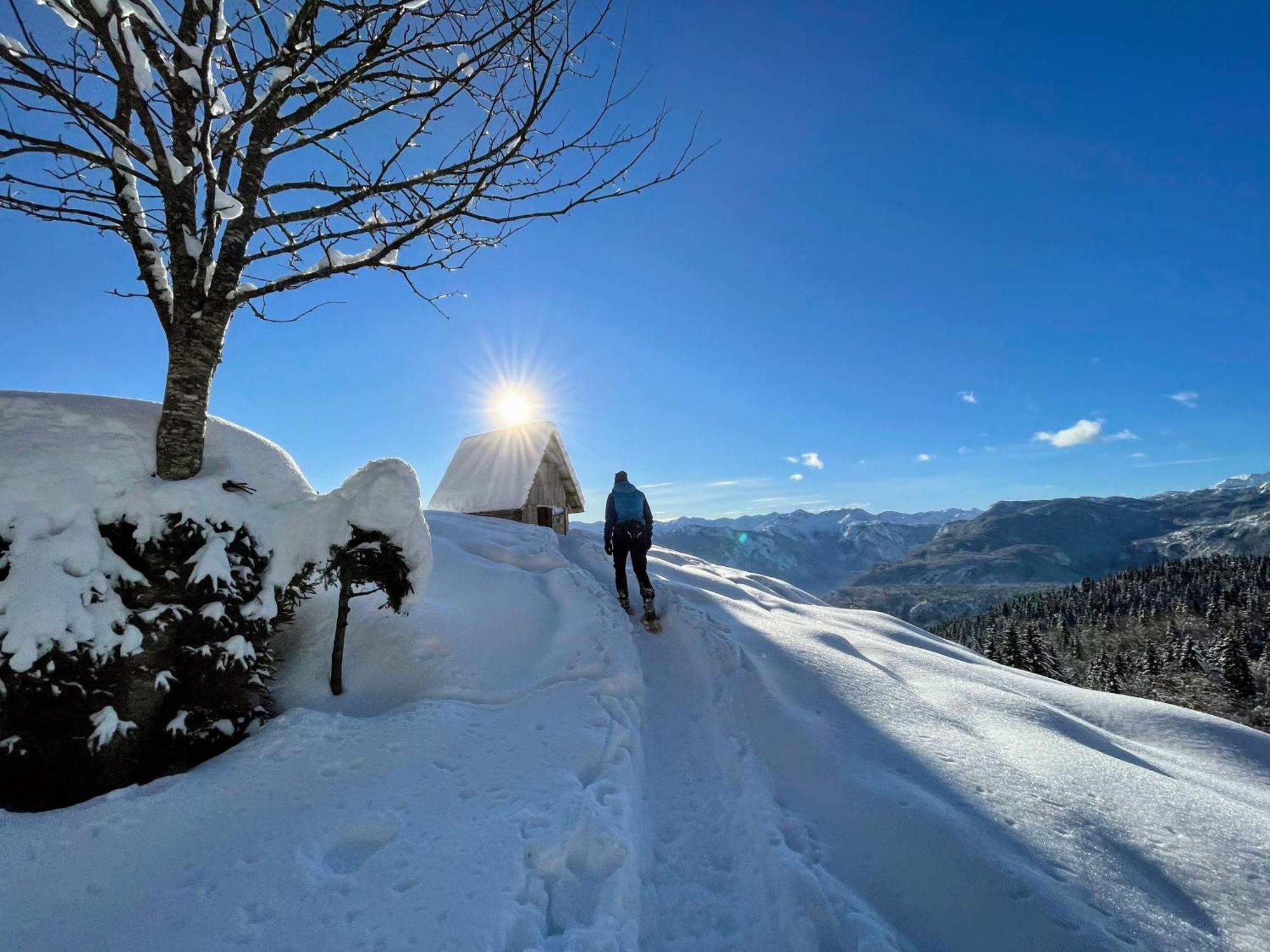 Chalet Hike&Bike Above Bohinj Valley Екстер'єр фото